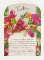 CELINE Carte Postale Prénom N° CP 14 - Prénoms