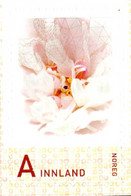 278124 MNH NORUEGA 2012 SELLOS PERSONALIZADOS - Used Stamps