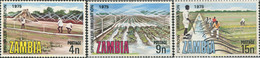 286791 MNH ZAMBIA 1975 IRRIGACION Y DRENAJE - Protection De L'environnement & Climat