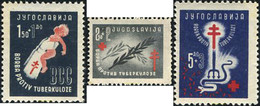 669938 MNH YUGOSLAVIA 1948 A BENEFICIO DE LAS OBRAS ANTITUBERCULOSIS - Collections, Lots & Series