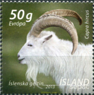 304909 MNH ISLANDIA 2013 SEPAC - Collezioni & Lotti