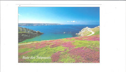 PLOGOFF  LA BAIE DES TREPASSES   FLANC NOD  DE LA POINTE DU RAZ    **   RARE    A  SAISIR  **** - Plogoff