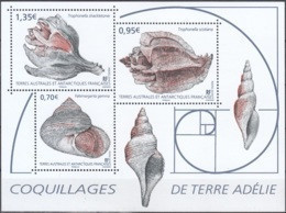 TAAF 2019 Bloc Feuillet Coquillages Neuf ** - Blocs-feuillets