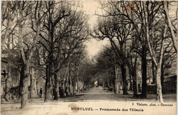 CPA MONTLUEL Promenade Des Tilleuls (485584) - Montluel