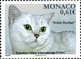 313790 MNH MONACO 2013 GATO - Other & Unclassified