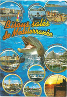 Dauphin - Villes De Méditerranée - Dauphins