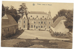 - 2729 - CINEY  Chateau De Masogne - Ciney