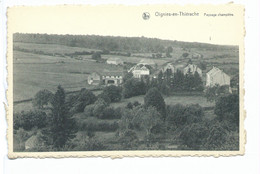 Oignies En Thiérache Paysage Champêtre - Viroinval