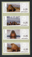 GREENLAND GROENLAND (2022) - ATM Series Greenlandic Walruses, Morsa, Morse, Walrus, Walross, Hvalros, Odobenus Rosmarus - Timbres De Distributeurs