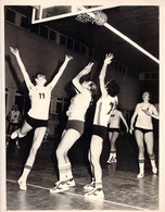 PHOTO BASKET / EQUIPE FEMININE 1976 - Pallacanestro