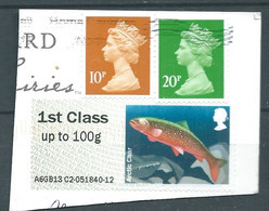 GROSBRITANNIEN GRANDE BRETAGNE GB 2013 POST&GO LAKES:ARCTIC CHAR 1ST CLASS UP To 100g PAPER SG FS69 MI ATM 56 YT TD64 - Post & Go (automaten)