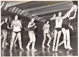 PHOTO BASKET / EQUIPE FEMININE DE LA TRANCHE 1976 - Basket-ball