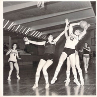 PHOTO BASKET / EQUIPE FEMININE DE LA TRANCHE 1979 - Baloncesto