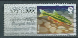 GROSBRITANNIEN GRANDE BRETAGNE GB 2013 POST&GO RIVERS: 1ST CLASS Up To 100g USED SG FS71 MI ATM 66 YT TD 58 - Post & Go Stamps