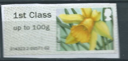 GROSBRITANNIEN GRANDE BRETAGNE GB 2014 POST&GO SPRING BLOOMS:LESSER CELANDINE 1ST CS Up To 100g PAPER SG FS96 MI ATM 84 - Post & Go Stamps