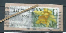 GROSBRITANNIEN GRANDE BRETAGNE GB 2014 POST&GO SPRING BLOOMS:LESSER CELANDINE 1ST CS Up To 100g PAPER SG FS96 MI ATM 84 - Post & Go (distributori)