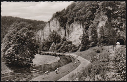 D-91235 Velden Im Pegnitztal - Roter Fels Im Pegnitztal - Eisenbahntunnel ( Echt Foto) - Pegnitz