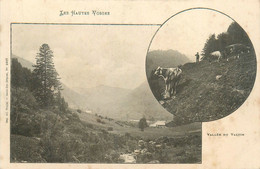 Le Valtin * Les Hautes Vosges * Vue Sur La Vallée - Sonstige & Ohne Zuordnung