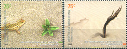 283757 MNH ARGENTINA 2006 AÑO INTERNACIONAL DE LOS DESIERTOS - Gebruikt