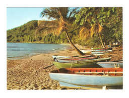 615/ CP : Dép. 971 : GUADELOUPE : St-Barthélémy : Bateaux Saintois Sur La Plage - Saint Barthelemy