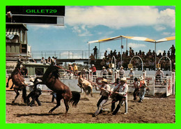 CALGARY, ALBERTA - CALGARY EXHIBITION AND STAMPEDE - TRAVEL IN 1979 - MAJESTIC POST CARD - - Calgary