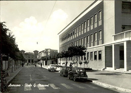 AVEZZANO ( L'AQUILA ) VIALE G. MARCONI  - EDIZIONE POTATURO - SPEDITA - 1960s (12845) - Avezzano