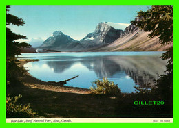 BANFF, ALBERTA - BOW LAKE, ON THE ICEFIELD HIGHWAY, BANFF NATIONAL PARK - TRAVEL IN 1973 - - Banff