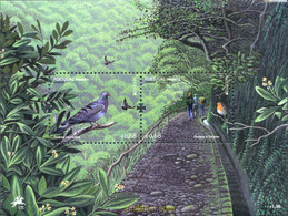 267757 MNH MADEIRA 2011 EUROPA CEPT 2011 - AÑO INTERNACIONAL DE LOS BOSQUES - Protection De L'environnement & Climat