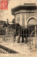 CPA MARSEILLE Jardin Zoologique L'Elephant (403520) - Parks, Gärten