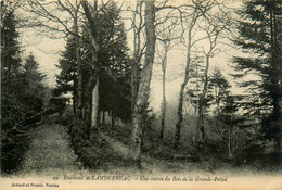 Landerneau * Environs * Une Entrée Du Bois De La Grande Palud - Landerneau