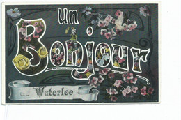 Waterloo Un Bonjour ( Cachet De Braine L'Alleud ) - Waterloo