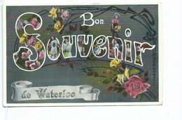 Waterloo Bon Souvenir ( Cachet De Braine L'Alleud ) - Waterloo