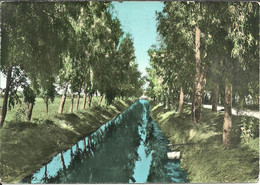 Siponto Fraz. Di Manfredonia (Foggia) Canale Delle Acque Alte, Canal Des Eaux Profondes, Deep Waters Channel - Manfredonia