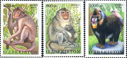 254215 MNH UZBEKISTAN 2010 FAUNA DEL ZOO DE TASCHKENT - Chimpanzés