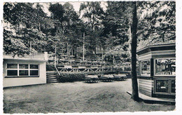 D-14497  IBBENBÜREN : Sommerrodelbahn - Ibbenbueren