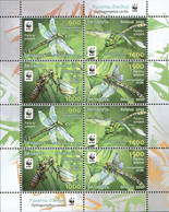 253010 MNH BIELORRUSIA 2010 PROTECCION A LA NATURALEZA. LIBELULAS - Spiders