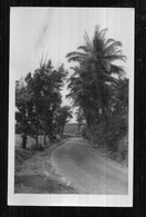 St005778 Saint Denis De La Réunion Mai1952, Photo La Route De St Suzanne Plus Haut Que Notre Propriété - Saint Denis