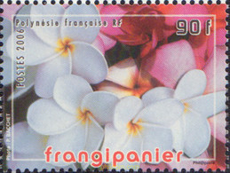 579559 MNH POLINESIA FRANCESA 2006 FLOR DEL ALMENDRO - Used Stamps