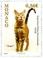 242453 MNH MONACO 2009 EXPOSICION INTERNACIONAL FELINA - Other & Unclassified