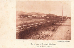 CPA NOUVELLE CALEDONIE - Verascope Richard - Sur La Route De Nouméa A Saint Louis - Cases Et Champs Cultivés - Nouvelle-Calédonie