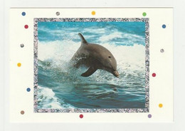 DAUPHIN Carte Postale N° 2 DAUPHINS VAGUES ECUME Cadre Reflets Argentés - Dauphins