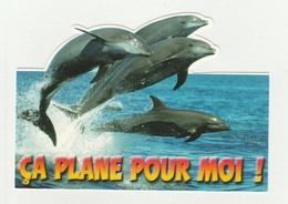 DAUPHIN DAUPHINS Carte Postale N° 339- 133 CA PLANE POUR MOI Carte Motif Découpé - Dauphins