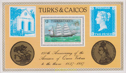 619234 MNH TURKS Y CAICOS 1987 150 ANIVERSARIO DE LA ASCENCION AL TRONO DE LA REINA VICTORIA - Turks And Caicos