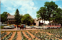 Pennsylvania Lancaster The Amish Farm And House 1962 - Lancaster