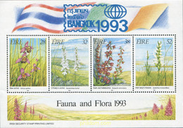 634517 MNH IRLANDA 1993 BANGKOK 1993. EXPOSICION FILATELICA INTERNACIONAL - Colecciones & Series