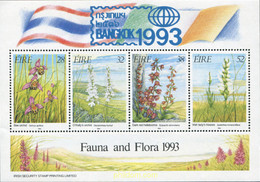 634517 MNH IRLANDA 1993 BANGKOK 1993. EXPOSICION FILATELICA INTERNACIONAL - Collections, Lots & Séries