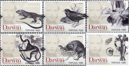 223516 MNH PORTUGAL 2009 CHARLES DARWIN - Scimpanzé