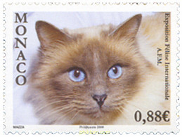 222884 MNH MONACO 2009 EXPOSICION FELINA - Other & Unclassified