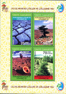 220994 MNH TURQUIA 2006 AÑO INTERNACIONAL DE LOS DESIERTOS Y DE LA DESERTIFICACION - Colecciones & Series