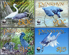 217485 MNH PENRHYN 2008 GARCETA DE ARRECIFE - Penrhyn